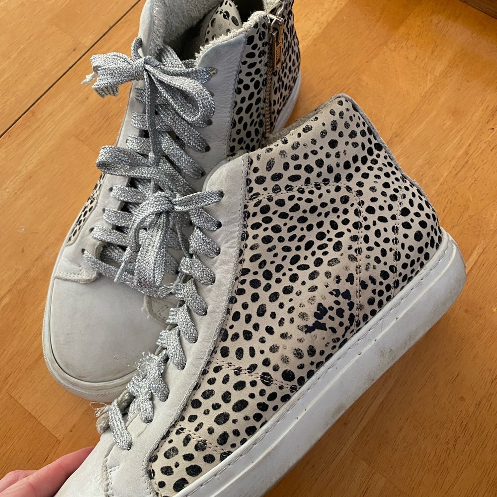 P448 high tops